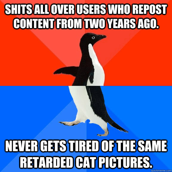 Shits all over users who repost content from two years ago. Never gets tired of the same retarded cat pictures.  Socially Awesome Awkward Penguin