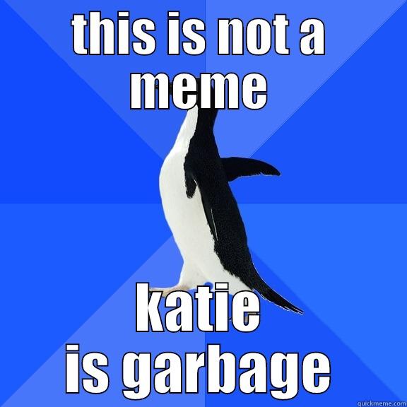 this is not a meme katie - THIS IS NOT A MEME KATIE IS GARBAGE Socially Awkward Penguin