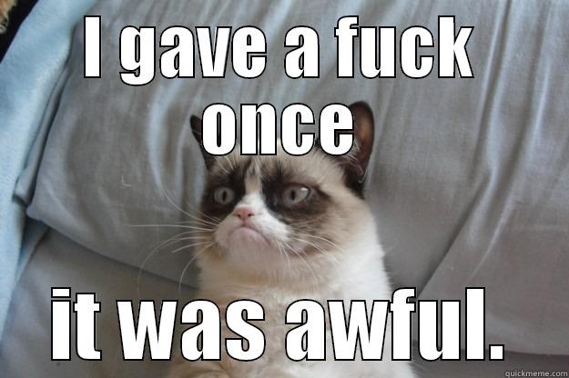 don't give a fuck - I GAVE A FUCK ONCE IT WAS AWFUL. Grumpy Cat