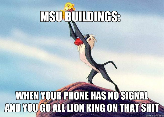 msu buildings: When your phone has no signal 
and you go all lion king on that shit   