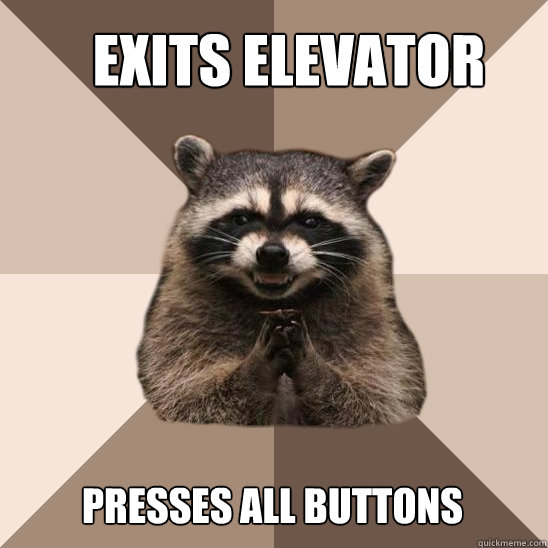 exits elevator Presses all buttons  Evil Plotting Raccoon