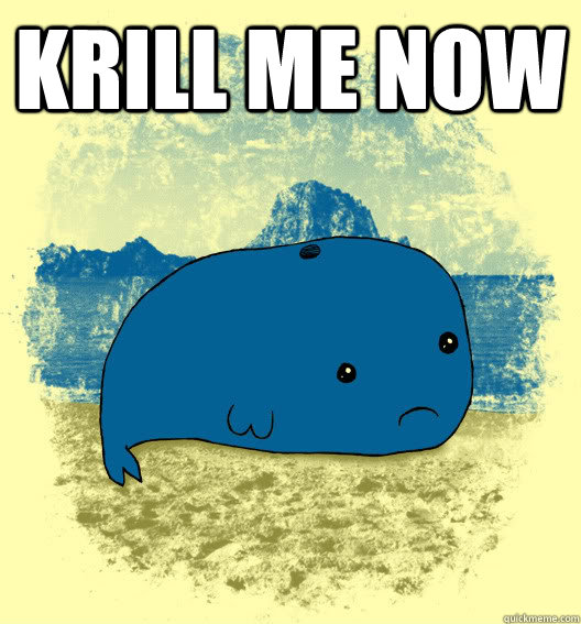 krill me now   Sad Whale