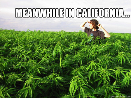 Meanwhile in California...  