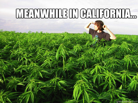 Meanwhile in California... - Meanwhile in California...  Meanwhile in California...