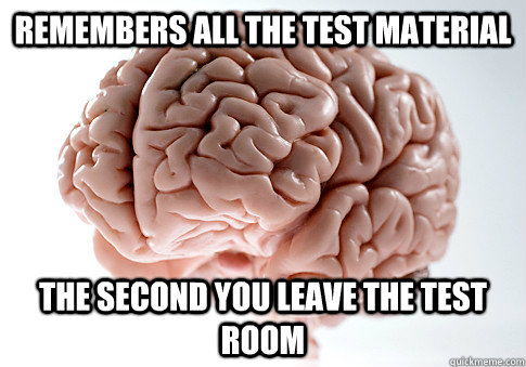 Remembers all the test material The second you leave the test room - Remembers all the test material The second you leave the test room  Scumbag Brain