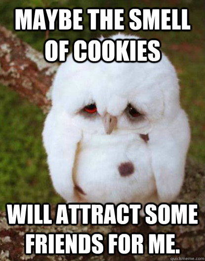 Maybe the smell of cookies will attract some friends for me.  Depressed Baby Owl