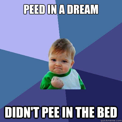 peed in a dream didn't pee in the bed - peed in a dream didn't pee in the bed  Success Kid