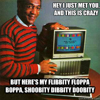 Hey I just met you, and this is crazy But here's my flibbity floppa boppa, shoobity dibbity doobity   