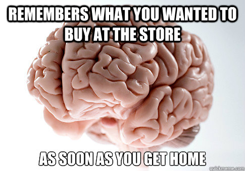 Remembers What You wanted to buy at the store as soon as you get home   Scumbag Brain