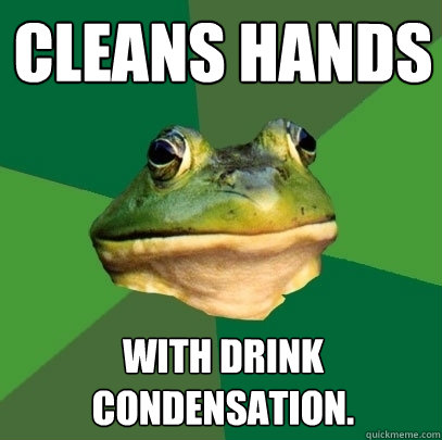 Cleans hands With Drink condensation.  Foul Bachelor Frog
