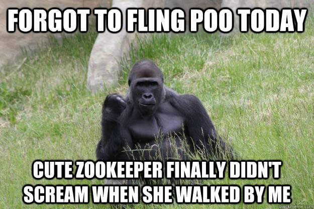 Forgot To Fling Poo Today Cute Zookeeper Finally Didn't Scream When She Walked By Me  Success Gorilla