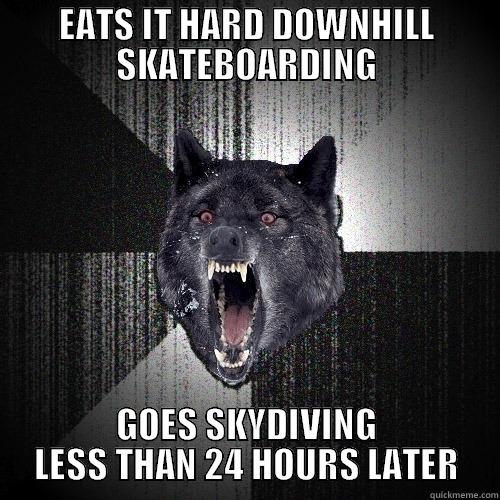 EATS IT HARD DOWNHILL SKATEBOARDING GOES SKYDIVING LESS THAN 24 HOURS LATER Insanity Wolf