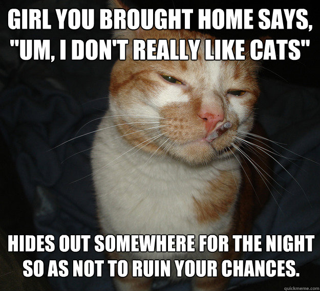 Girl you brought home says, 