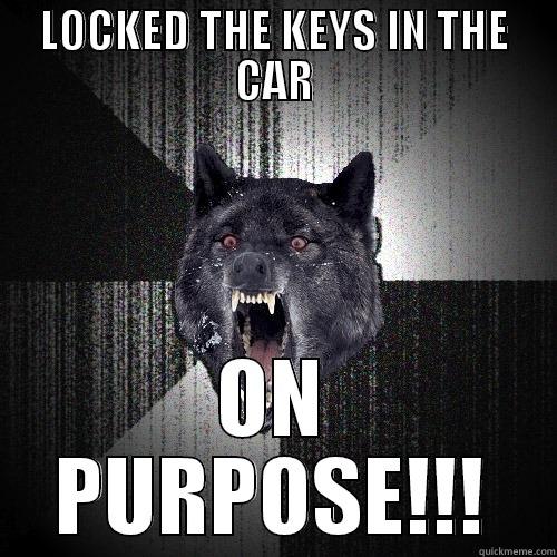 LOCKED THE KEYS IN THE CAR ON PURPOSE!!! Insanity Wolf