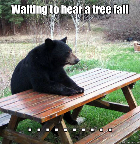 Waiting to hear a tree fall .  .  .  .  .  .  .  .  .  .    waiting bear