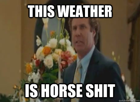 this weather is horse shit - this weather is horse shit  this wedding is horse shit