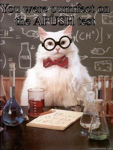 YOU WERE PURRRFECT ON THE APUSH TEST  Chemistry Cat