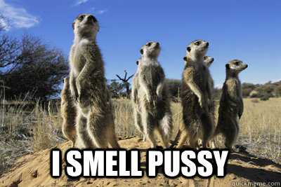 I Smell Pussy  I smell pussy