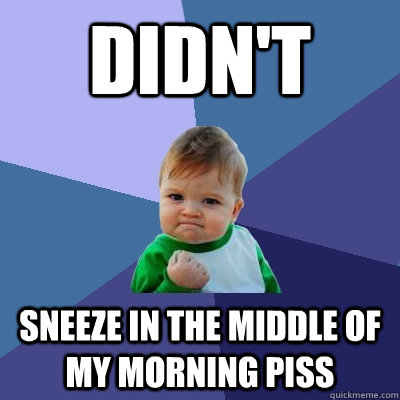 Didn't Sneeze in the middle of my morning piss  Success Kid