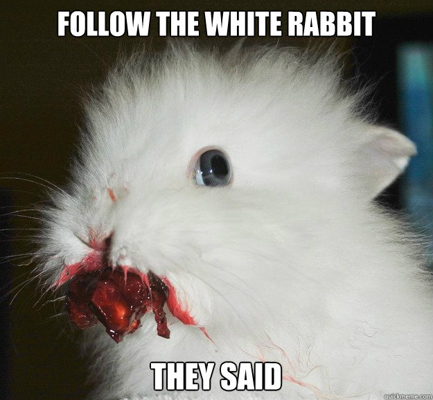 Follow the white rabbit they said - Follow the white rabbit they said  rage rabbit