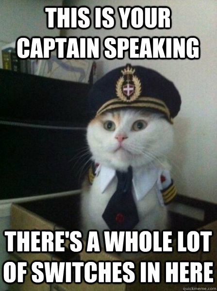 This is your captain speaking There's a whole lot of switches in here  Captain kitteh