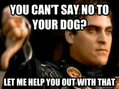 You can't say no to your dog? Let me help you out with that  Downvoting Roman