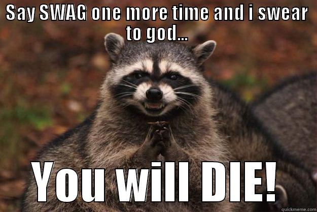 SAY SWAG ONE MORE TIME AND I SWEAR TO GOD... YOU WILL DIE! Evil Plotting Raccoon