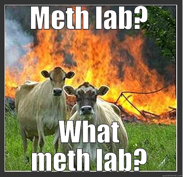 METH LAB? WHAT METH LAB? Evil cows