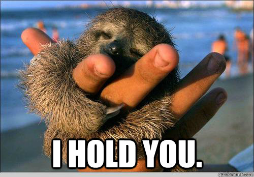           ♥ I hold you.  cute baby sloth