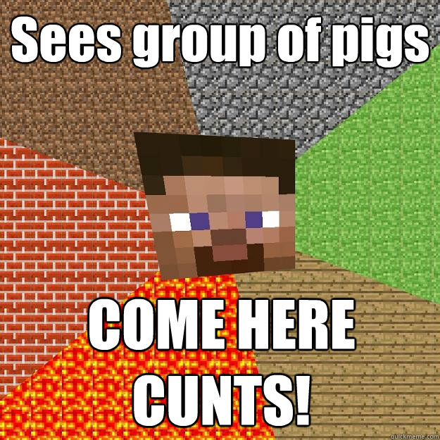 Sees group of pigs
 COME HERE CUNTS!  Minecraft