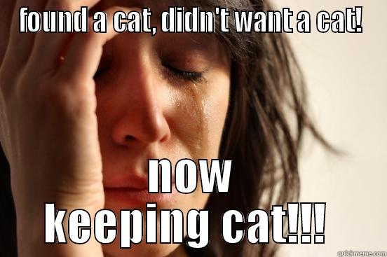 FOUND A CAT, DIDN'T WANT A CAT! NOW KEEPING CAT!!!  First World Problems