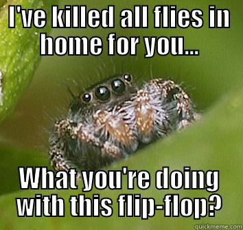 I'VE KILLED ALL FLIES IN HOME FOR YOU... WHAT YOU'RE DOING WITH THIS FLIP-FLOP? Misunderstood Spider