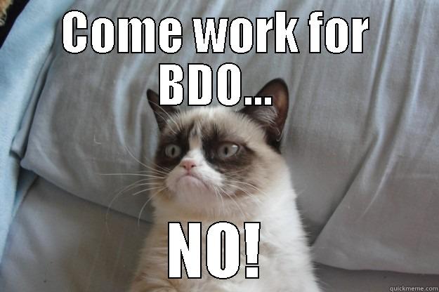 Job cat - COME WORK FOR BDO... NO! Grumpy Cat