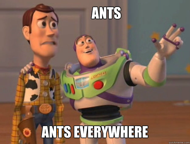 Ants Ants Everywhere  buzz