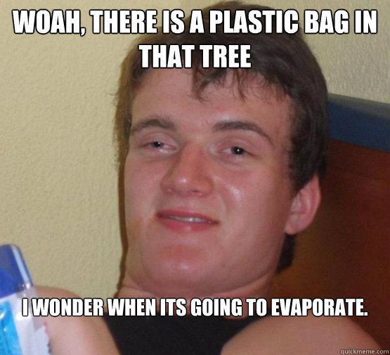 Woah, there is a plastic bag in that tree I wonder when its going to evaporate.  Stoner Stanley