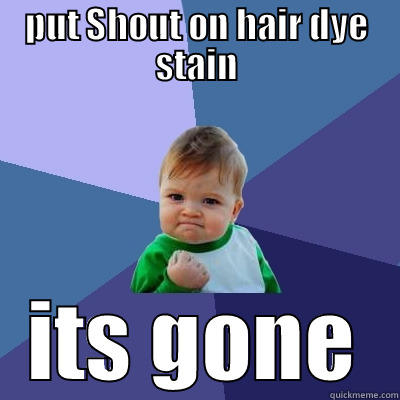 PUT SHOUT ON HAIR DYE STAIN ITS GONE Success Kid