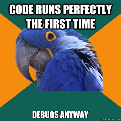 Code runs perfectly the first time debugs anyway  Paranoid Parrot
