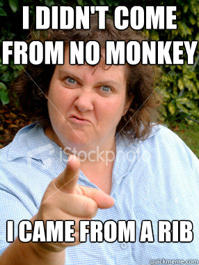 I didn't come from no monkey I came from a rib  