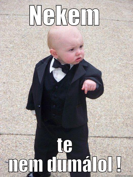 NEKEM TE NEM DUMÁLOL ! Baby Godfather