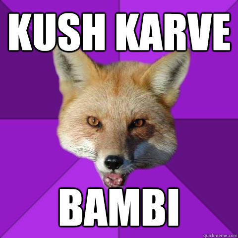 KUSH KARVE BAMBI  Forensics Fox