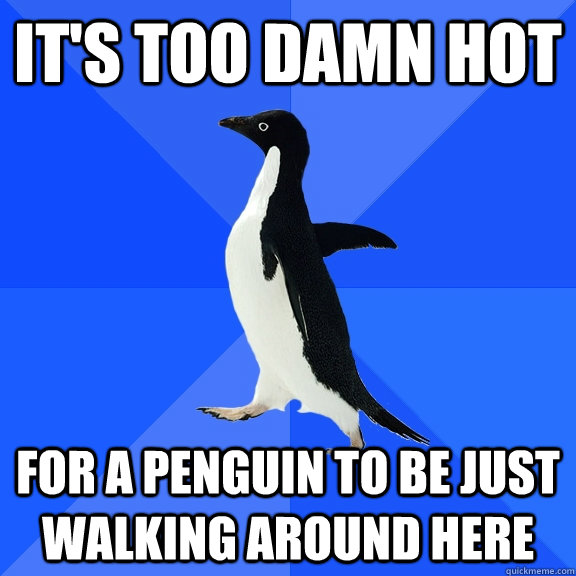 It's too damn hot  for a penguin to be just walking around here - It's too damn hot  for a penguin to be just walking around here  Socially Awkward Penguin
