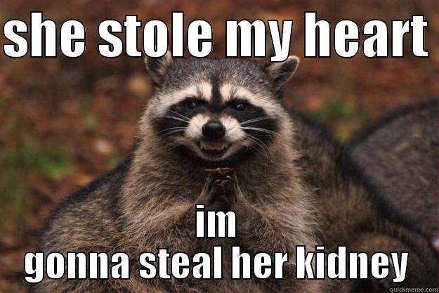 SHE STOLE MY HEART  IM GONNA STEAL HER KIDNEY Evil Plotting Raccoon