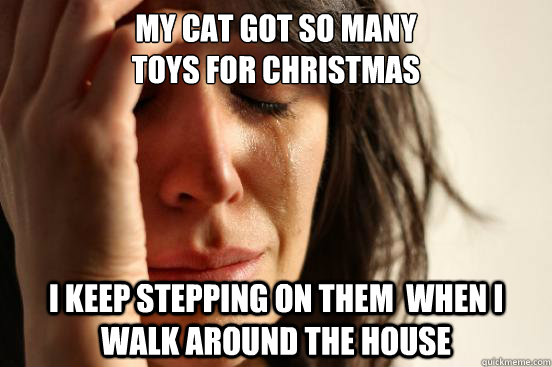 my cat got so many
toys for christmas i keep stepping on them  when i walk around the house  First World Problems