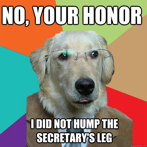 No, Your Honor I did not hump the secretary's leg  Business Dog