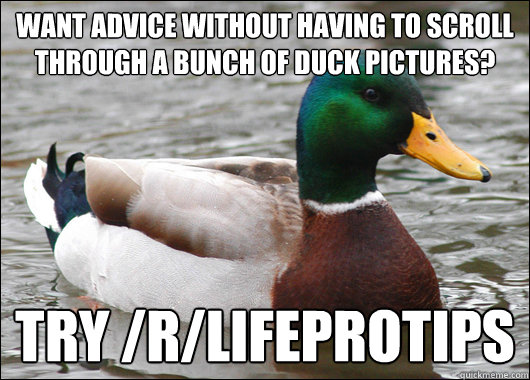 Want advice without having to scroll through a bunch of duck pictures? Try /r/lifeprotips  Actual Advice Mallard