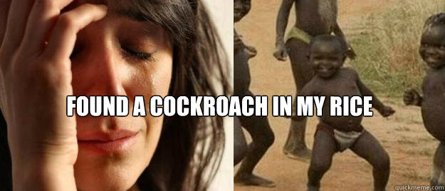  Found a cockroach in my rice  First World Problems  Third World Success