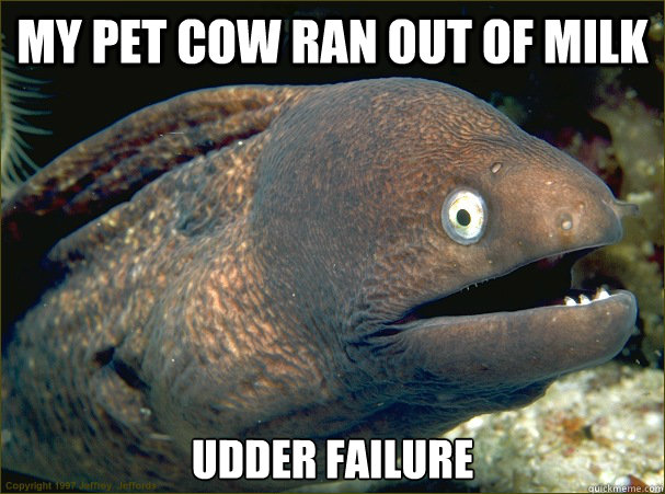 my pet cow ran out of milk udder failure  Bad Joke Eel