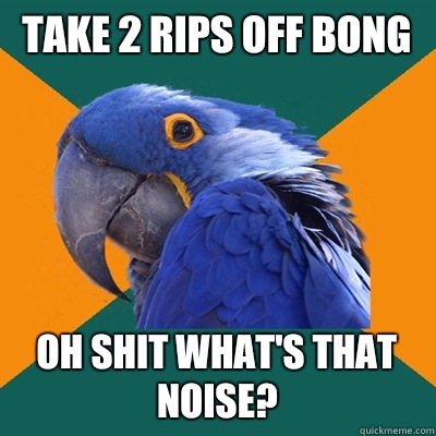 Take 2 rips off bong Oh shit what's that noise?  Paranoid Parrot