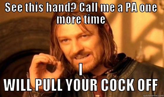 SEE THIS HAND? CALL ME A PA ONE MORE TIME I WILL PULL YOUR COCK OFF Boromir