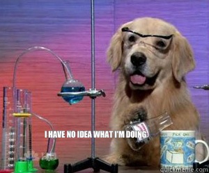 I have no idea what I'm doing  